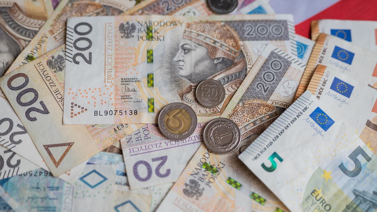 Vysoké mzdy mohly zafungovat jako štít proti drahotě. Češi ale ostrouhali